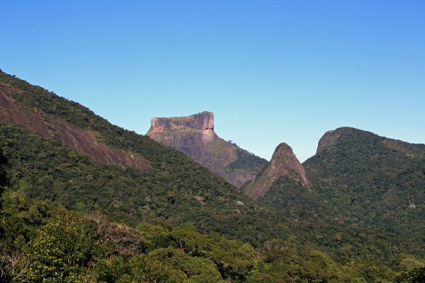 things-to-do-in-rio-de-janeiro-tijuca-national-park